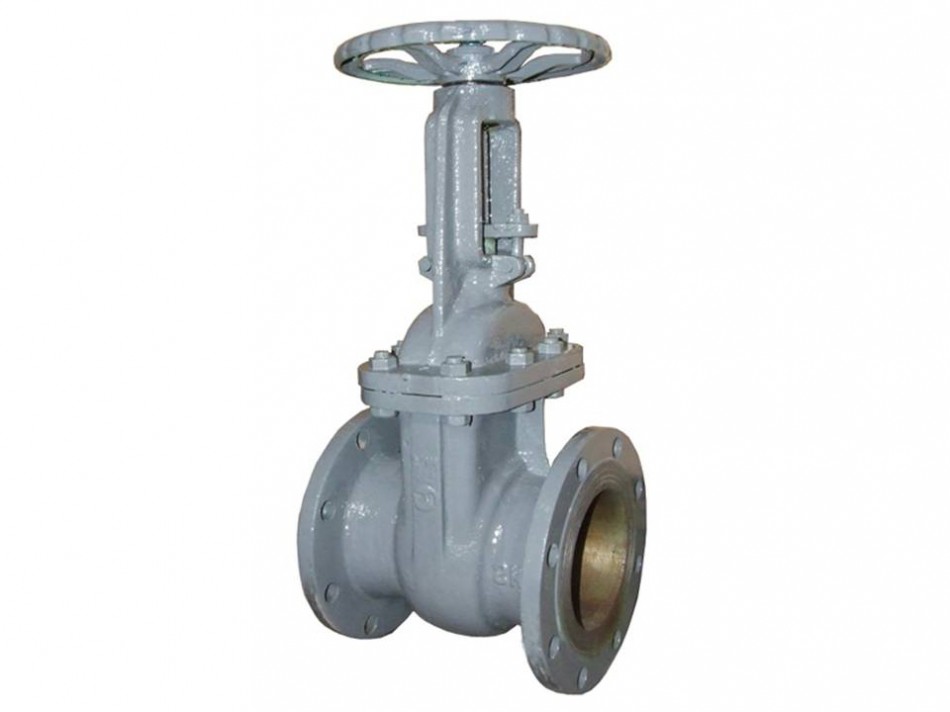 Задвижка стал. 30с41нж Ду 100